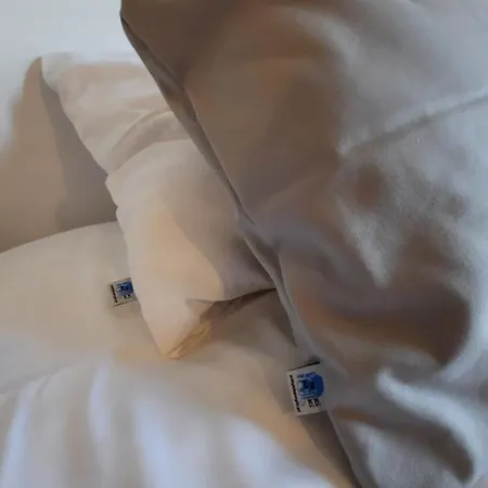 Patyki Kamyki * Ustka